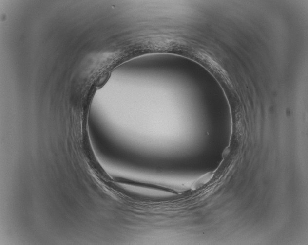 X0000067520493200604071325