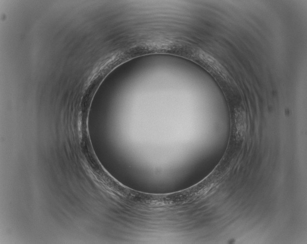 X0000067520494200604071325