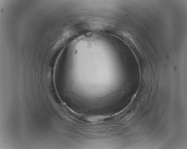 X0000067520495200604071325