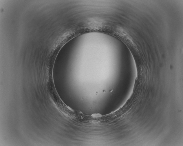 X0000067520496200604071325