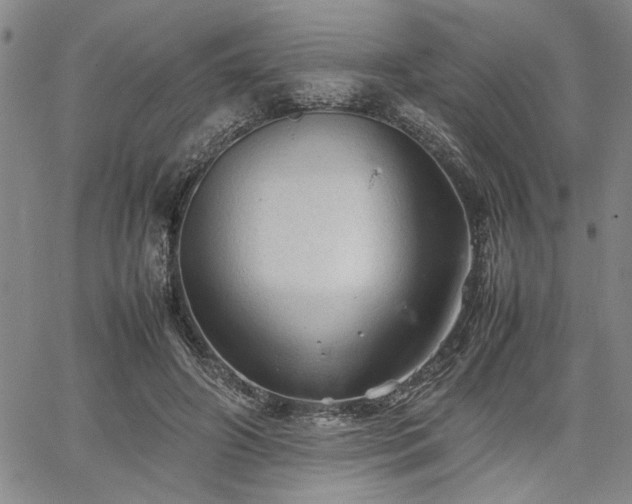 X0000067520498200604071325