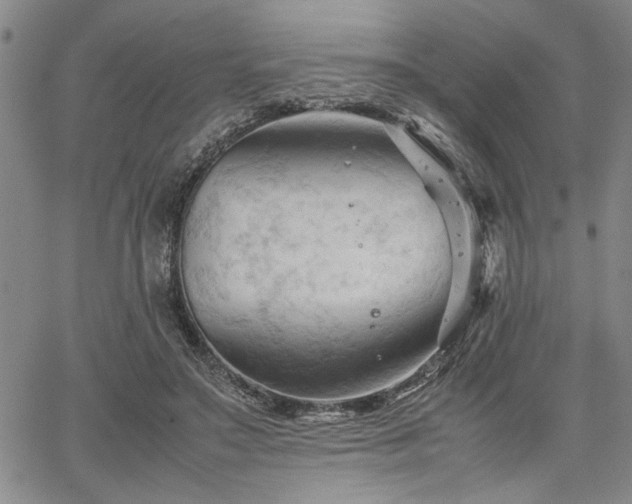 X0000067520499200604071325