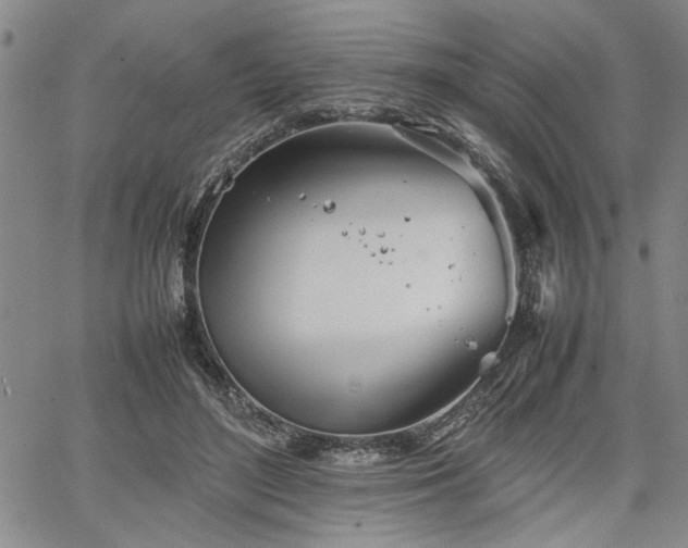 X0000067520500200604071325