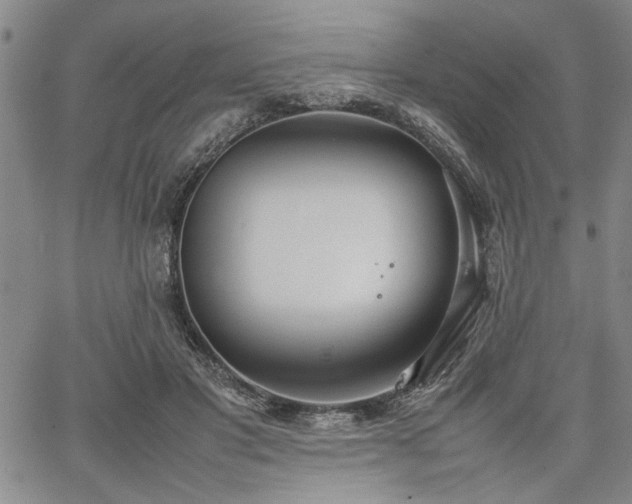 X0000067520501200604071325