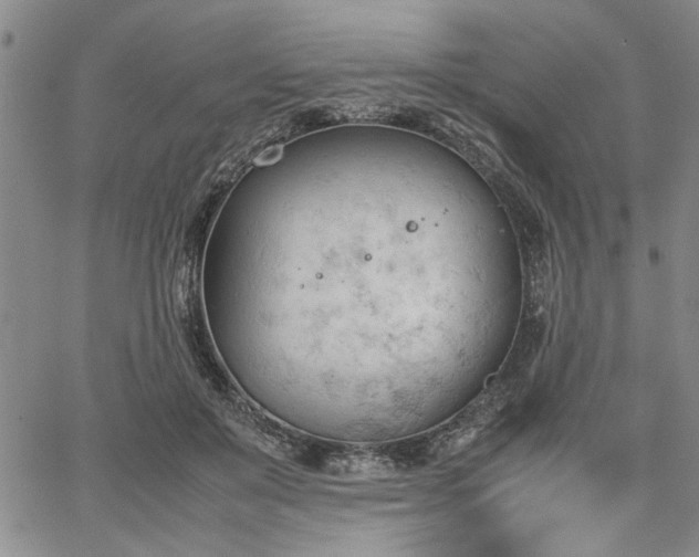 X0000067520503200604071325