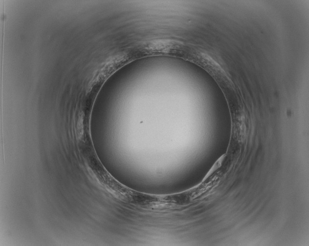 X0000067520504200604071325