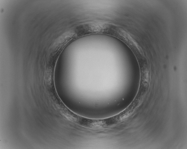 X0000067520505200604071325