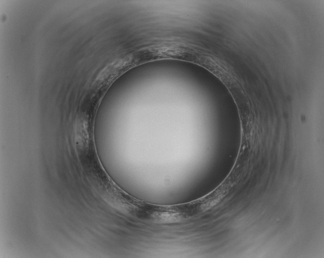 X0000067520506200604071325