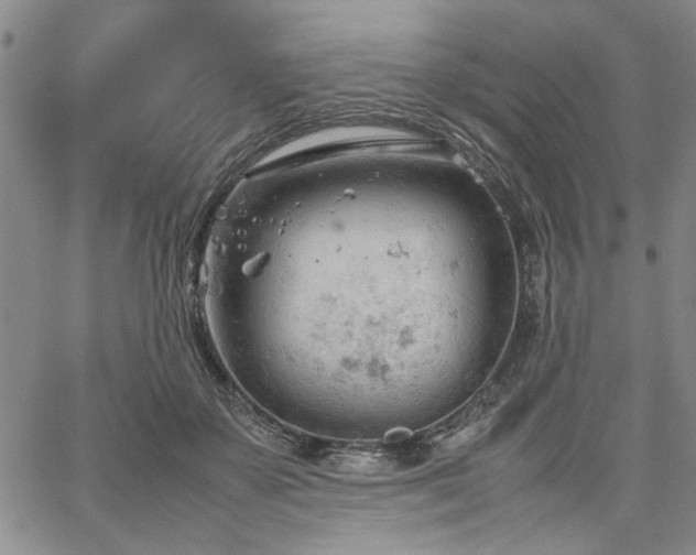 X0000067520507200604071325