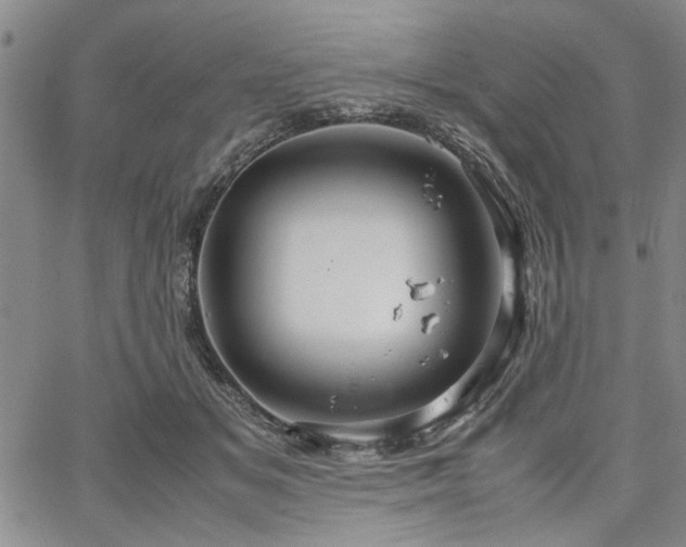 X0000067520509200604071325