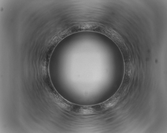 X0000067520510200604071325