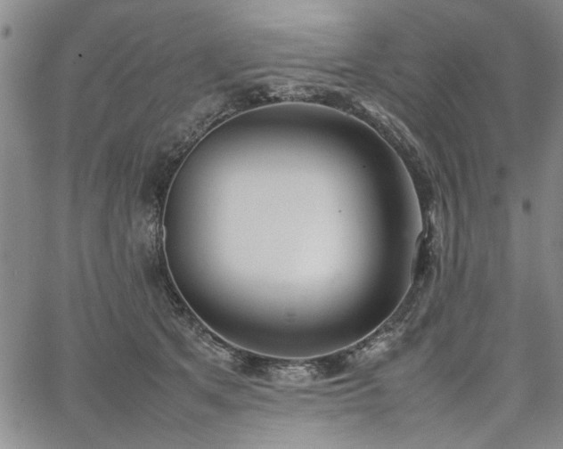 X0000067520513200604071324