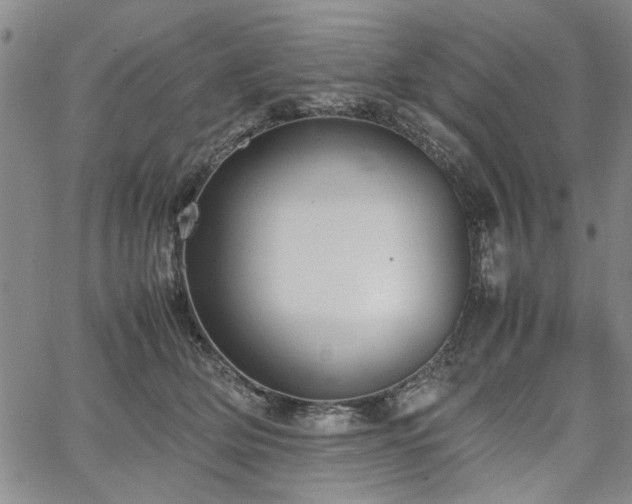 X0000067520514200604071324