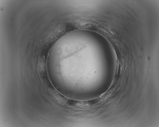 X0000067520515200604071324