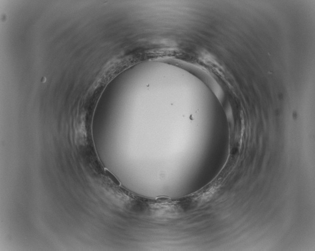 X0000067520516200604071324