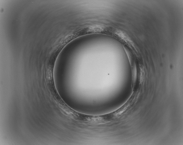 X0000067520517200604071324