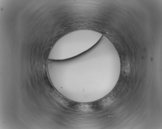 X0000067520518200604071324