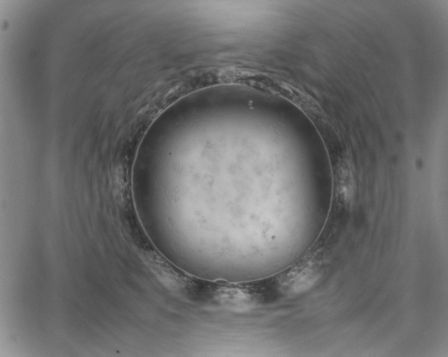 X0000067520519200604071324