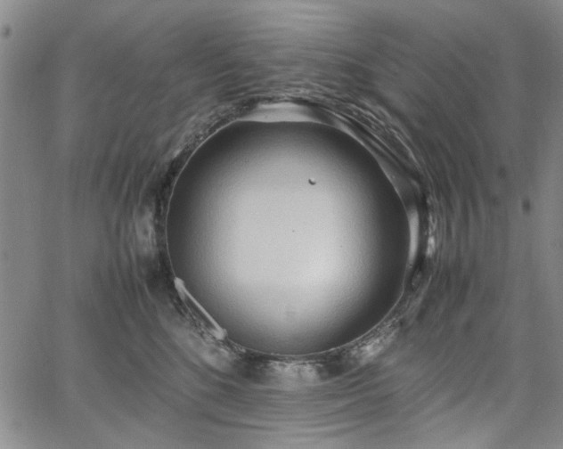 X0000067520520200604071324