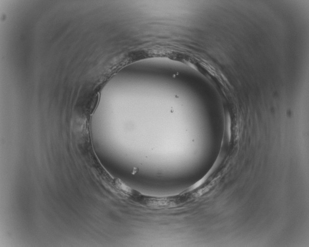 X0000067520521200604071324