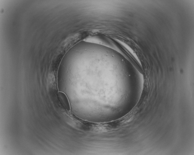 X0000067520523200604071324