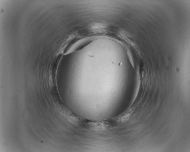 X0000067520524200604071324