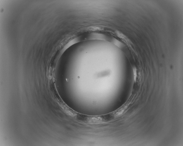 X0000067520525200604071324