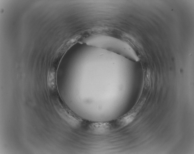 X0000067520526200604071324