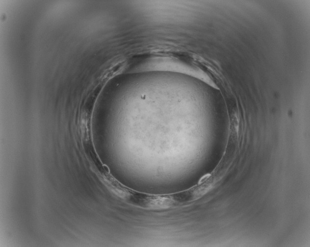 X0000067520527200604071324