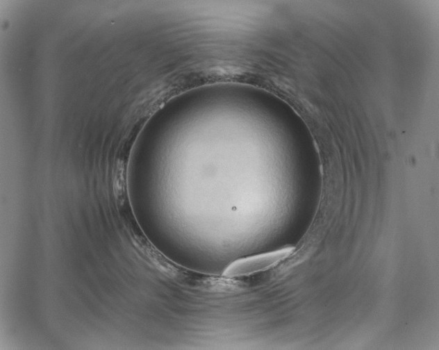 X0000067520528200604071324