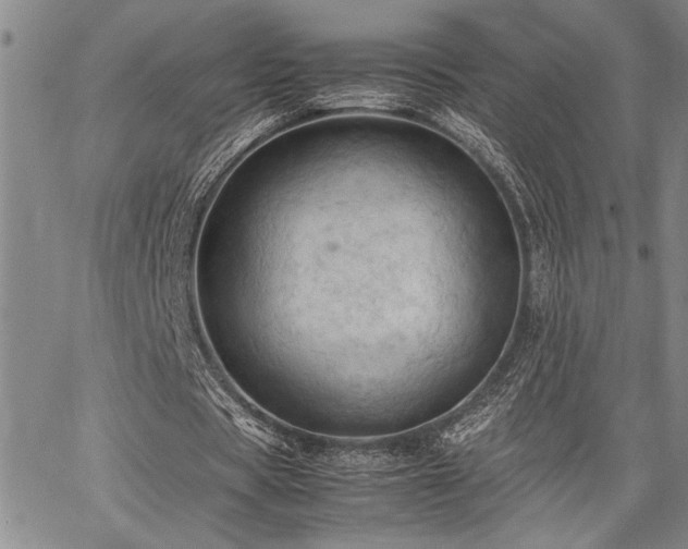 X0000067520529200604071323