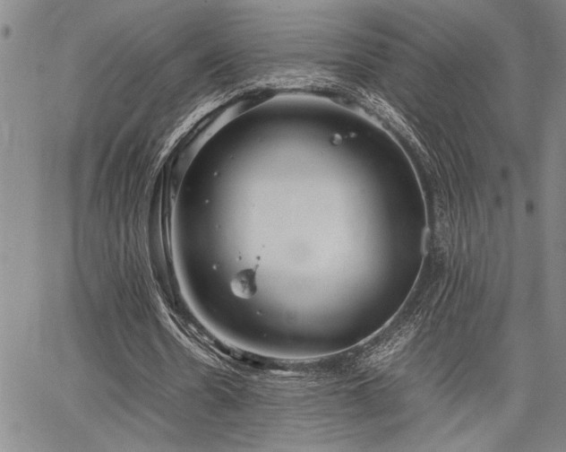 X0000067520530200604071323