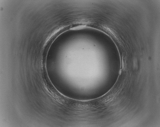 X0000067520531200604071323