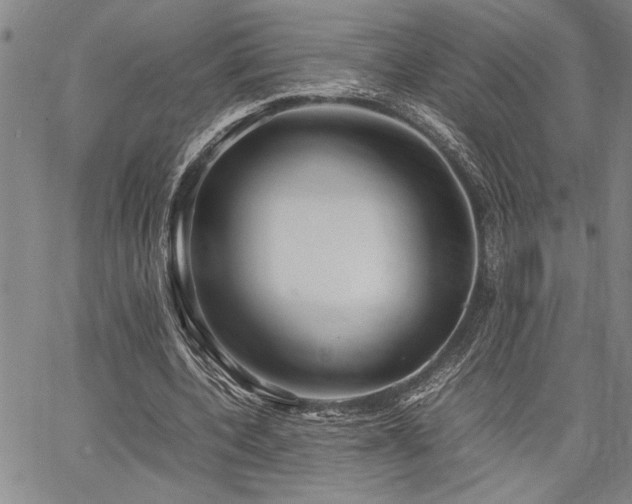 X0000067520532200604071324