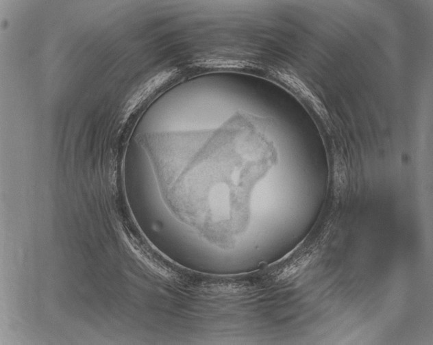 X0000067520533200604071324