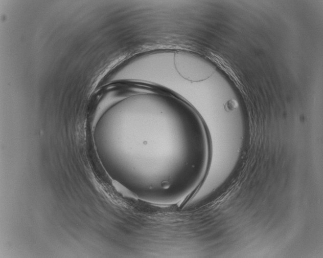 X0000067520534200604071324