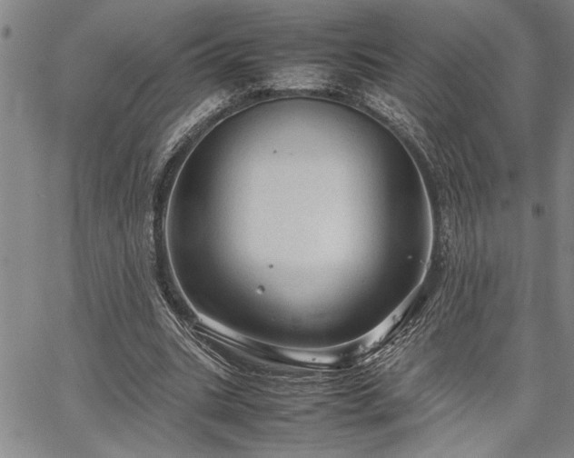 X0000067520535200604071324