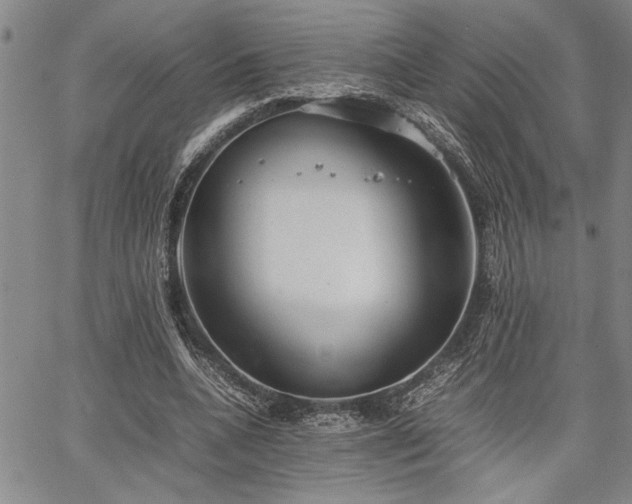 X0000067520536200604071324