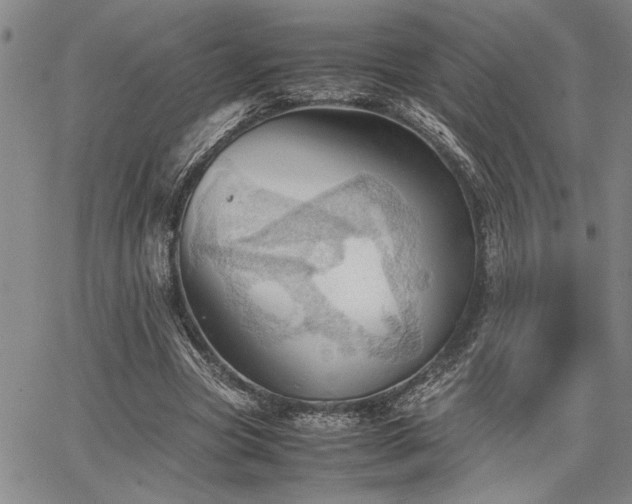 X0000067520537200604071324