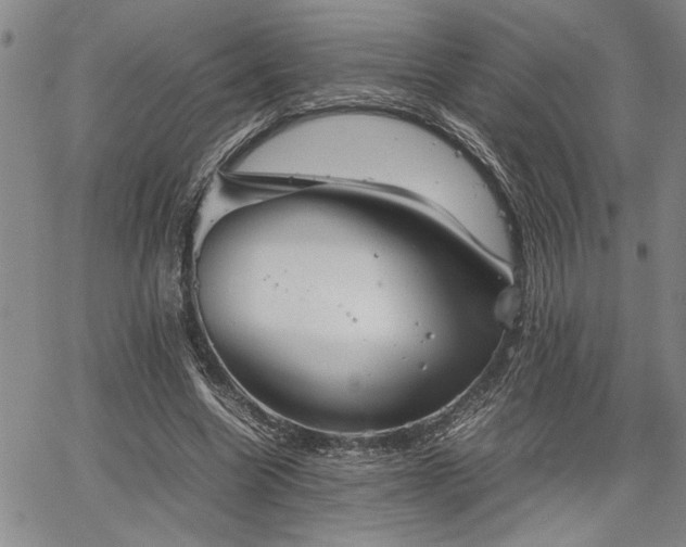 X0000067520538200604071324