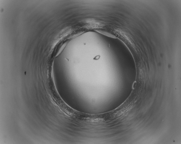 X0000067520539200604071324