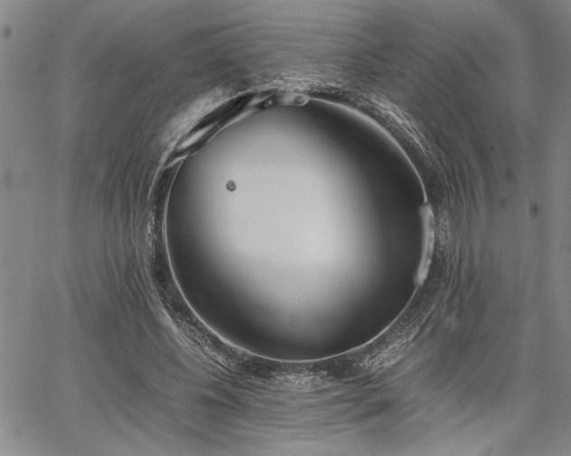 X0000067520540200604071324