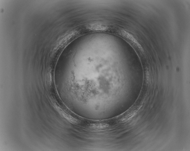 X0000067520541200604071324