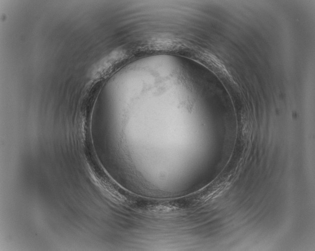 X0000067520542200604071324