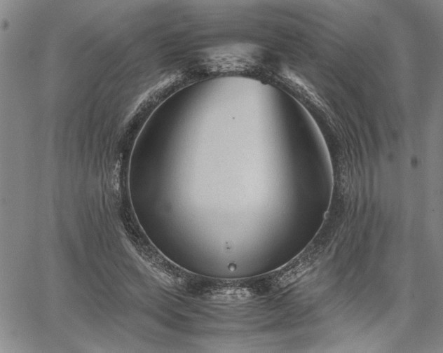 X0000067520543200604071324