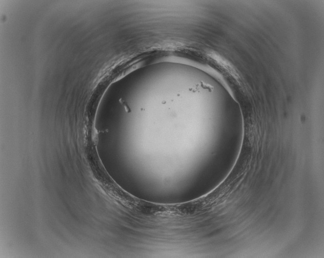 X0000067520544200604071324