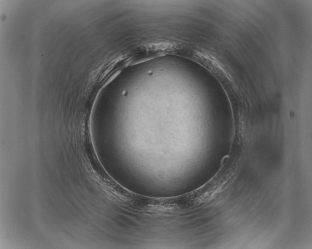 X0000067520545200604071324