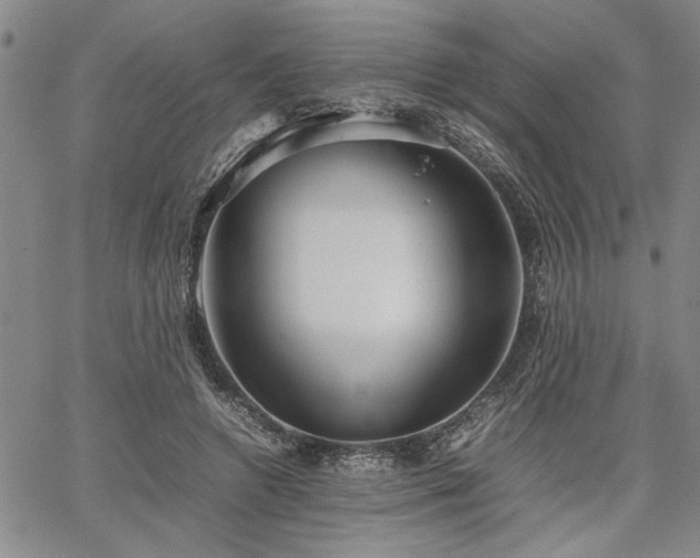 X0000067520546200604071324