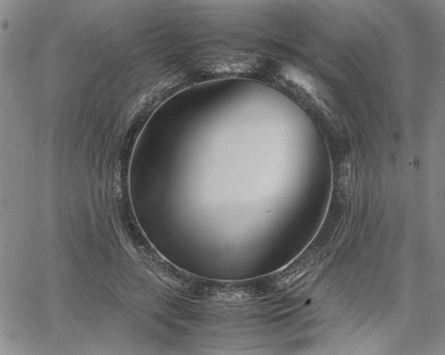 X0000067520547200604071324