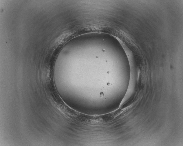 X0000067520548200604071324